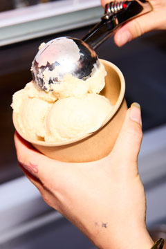 Hausgemachte Eiscreme von Eivitas Garden